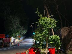 -槟城植物园