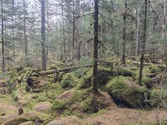 -汤旺河林海奇石景区