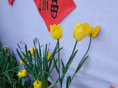 -钱王祠