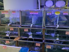 -八仔大富楼·河鲜(西江店)