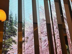 -桂满陇·海市蜃楼·黑金(国金店)