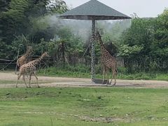 -宁波野生动物园