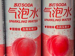-姜胖胖首尔自助烤肉·街头小吃大排档(国瑞中心店)