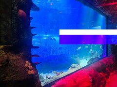 -沈阳海洋探索中心