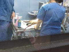 -菲丽丝宠物医院·24小时·猫科中心·免疫点(淮海分院)