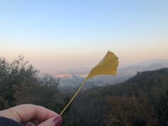 -阳台山自然风景区