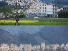-云和湖仙宫景区