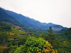 -广州市石门国家森林公园