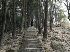 -火炉山森林公园