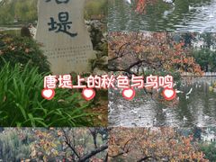-翠湖公园