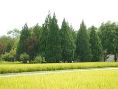 -北坞公园