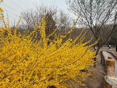 -白水寺森林公园