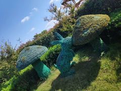 -荷兰花海