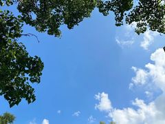 -沈阳植物园