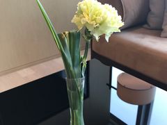 -成都尼依格罗酒店