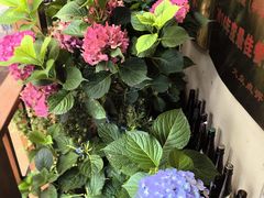-胜代日本料理(云程巷小区店)