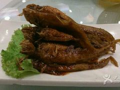 android_upload_pic-红城阁·上海味道(四平路店)