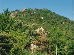 -北京鹫峰国家森林公园