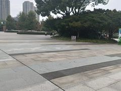 -青枫公园