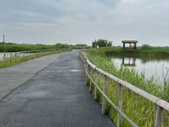 -宁波杭州湾国家湿地公园