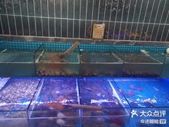 -海韵之星邮轮水会(明发商业广场店)