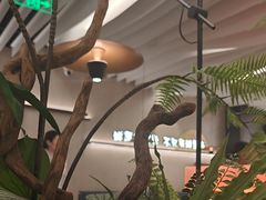 -鲜潭蒸汽石锅鱼(万象前海店)