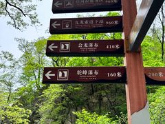 -洛阳白云山景区