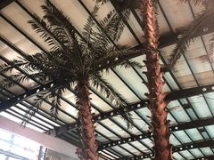 -南宫温泉水世界