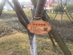 -南通鲜花小镇