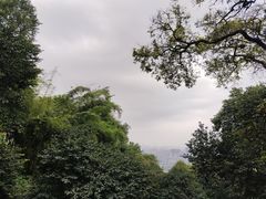 -广州市白云山风景名胜区