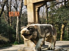 -灵谷景区