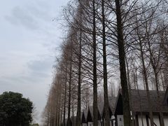 -太阳岛度假酒店