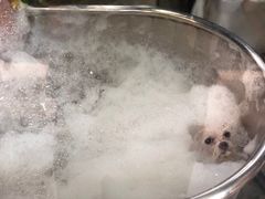 -PETKIT小佩宠物(昭化店)