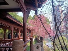 -望江楼公园