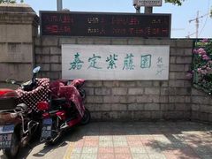 -嘉定紫藤园