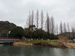 -东钱湖旅游度假区