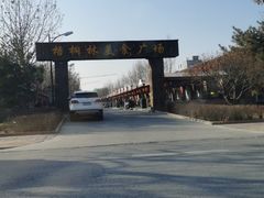 -南宫温泉水世界