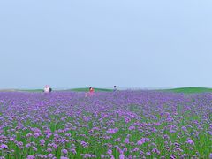 -秦皇岛阿尔卡迪亚滨海度假酒店
