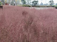 -中国天府农业博览园