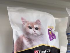-宠颐生宠物医院外科·内科·皮肤科·影像科(石龙店)