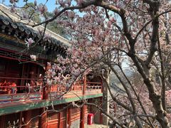 -潭柘寺景区