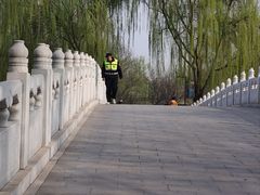 -黄村公园