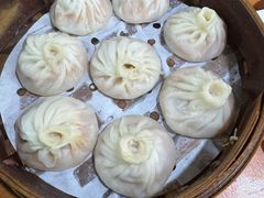 -莱莱小笼·乔艾