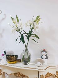 -美肤盾祛痘·问题肌头疗管理中心