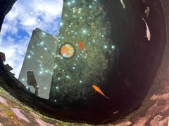 -福建土楼(南靖)景区