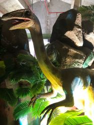 -恐龙探索乐园(磁器口店)