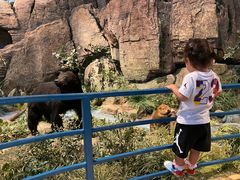 -陕西自然博物馆