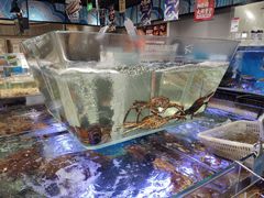 水产区-盒马鲜生(悠方店)