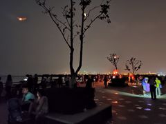 -合肥滨湖国家森林公园