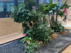 -龙湖重庆时代天街